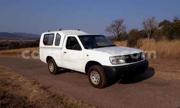 Acheter Occasion Voiture Nissan Hardbody Blanc à Beitbridge, Matabeleland South Acheter Occasion Voiture Nissan Hardbody Blanc à Beitbridge, Matabeleland South
