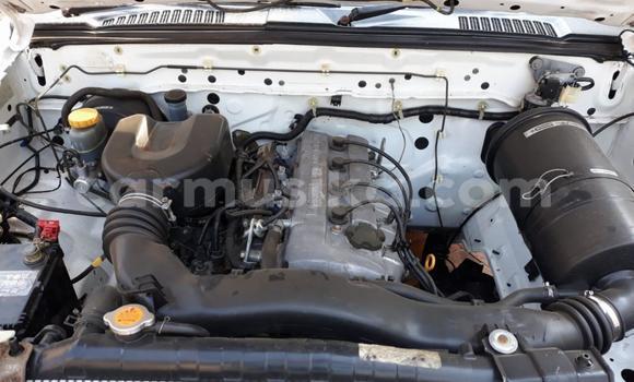 Acheter Occasion Voiture Nissan Hardbody Blanc à Beitbridge, Matabeleland South Acheter Occasion Voiture Nissan Hardbody Blanc à Beitbridge, Matabeleland South