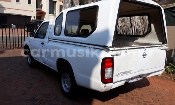 Acheter Occasion Voiture Nissan Hardbody Blanc à Beitbridge, Matabeleland South Acheter Occasion Voiture Nissan Hardbody Blanc à Beitbridge, Matabeleland South