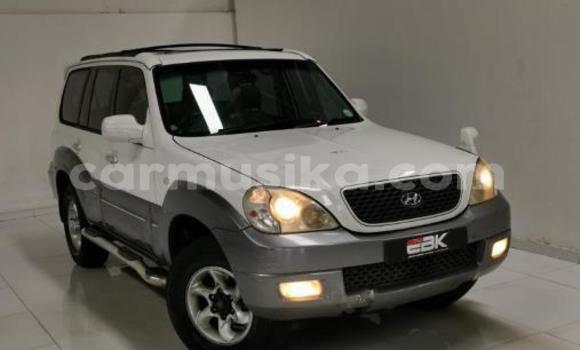 Buy Used Hyundai Terracan White Car in Beitbridge in Matabeleland South Buy Used Hyundai Terracan White Car in Beitbridge in Matabeleland South