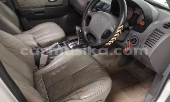 Buy Used Hyundai Terracan White Car in Beitbridge in Matabeleland South Buy Used Hyundai Terracan White Car in Beitbridge in Matabeleland South