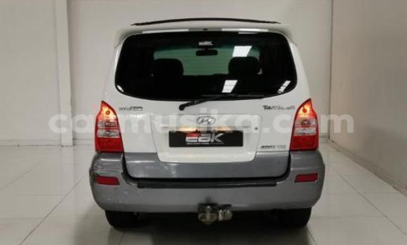 Buy Used Hyundai Terracan White Car in Beitbridge in Matabeleland South Buy Used Hyundai Terracan White Car in Beitbridge in Matabeleland South