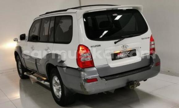 Buy Used Hyundai Terracan White Car in Beitbridge in Matabeleland South Buy Used Hyundai Terracan White Car in Beitbridge in Matabeleland South