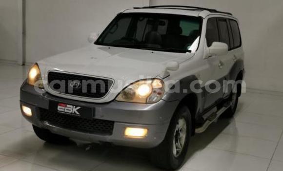 Buy Used Hyundai Terracan White Car in Beitbridge in Matabeleland South Buy Used Hyundai Terracan White Car in Beitbridge in Matabeleland South