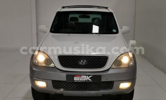 Buy Used Hyundai Terracan White Car in Beitbridge in Matabeleland South Buy Used Hyundai Terracan White Car in Beitbridge in Matabeleland South