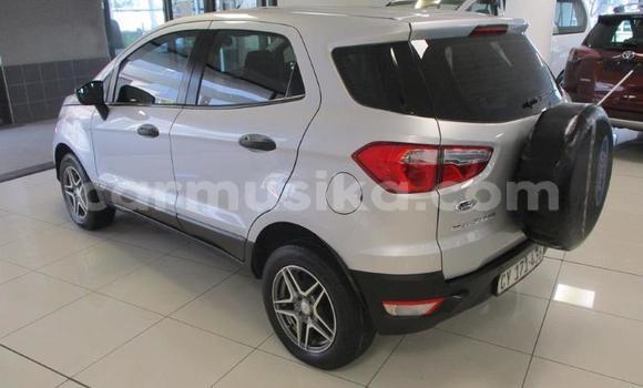 Buy Used Ford EcoSport Silver Car in Beitbridge in Matabeleland South Buy Used Ford EcoSport Silver Car in Beitbridge in Matabeleland South