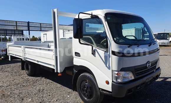Buy Used Hino 300 White Truck in Harare in Harare