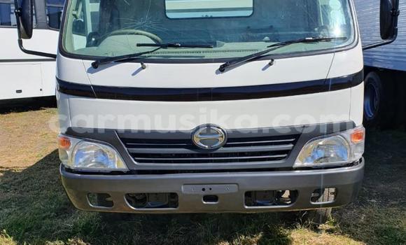 Buy Used Hino 300 White Truck in Harare in Harare Buy Used Hino 300 White Truck in Harare in Harare