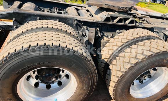 Buy Used International 7600i White Truck in Harare in Harare Buy Used International 7600i White Truck in Harare in Harare