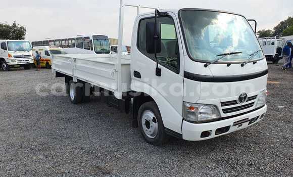 Tenga Tsaru Toyota Dyna Chena Mota in Harare in Harare