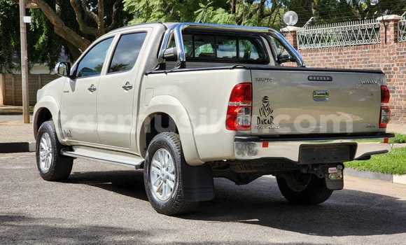 Acheter Occasion Voiture Toyota Hilux Gris à Harare, Harare Acheter Occasion Voiture Toyota Hilux Gris à Harare, Harare