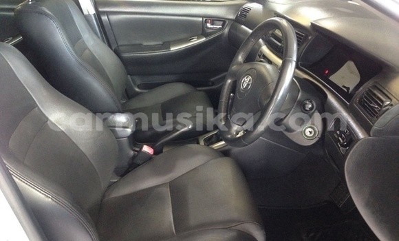 Tenga Tsaru Toyota Runx Sirivha Mota in Beitbridge in Matabeleland South Tenga Tsaru Toyota Runx Sirivha Mota in Beitbridge in Matabeleland South