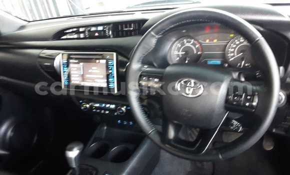 Acheter Occasion Voiture Toyota Hilux Gris à Beitbridge, Matabeleland South Acheter Occasion Voiture Toyota Hilux Gris à Beitbridge, Matabeleland South