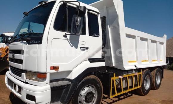 Buy Used DAF CF White Truck in Beitbridge in Matabeleland South