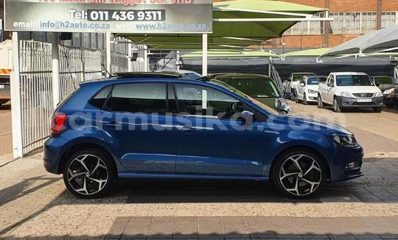 Buy Used Volkswagen Polo Blue Car in Beitbridge in Matabeleland South Buy Used Volkswagen Polo Blue Car in Beitbridge in Matabeleland South