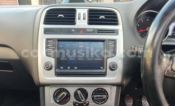 Buy Used Volkswagen Polo Blue Car in Beitbridge in Matabeleland South Buy Used Volkswagen Polo Blue Car in Beitbridge in Matabeleland South