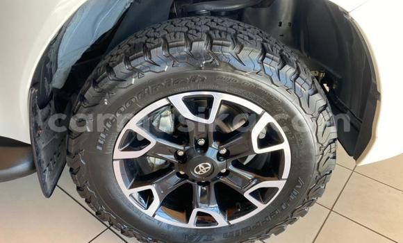 Nunua Ilio tumika Toyota Hilux Nyeupe Gari ndani ya Beitbridge nchini Matabeleland Kusini Nunua Ilio tumika Toyota Hilux Nyeupe Gari ndani ya Beitbridge nchini Matabeleland Kusini