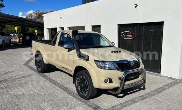 Tenga Tsaru Toyota Hilux Bhurawuni Mota in Beitbridge in Matabeleland South Tenga Tsaru Toyota Hilux Bhurawuni Mota in Beitbridge in Matabeleland South