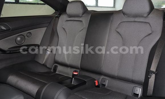 Buy Used BMW M4 Blue Car in Beitbridge in Matabeleland South Buy Used BMW M4 Blue Car in Beitbridge in Matabeleland South