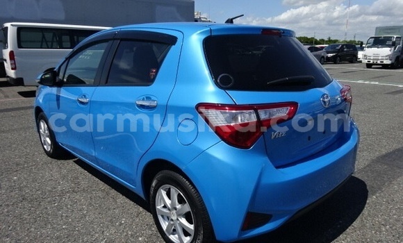 Buy Used Toyota Vitz Blue Car in Beitbridge in Matabeleland South Buy Used Toyota Vitz Blue Car in Beitbridge in Matabeleland South