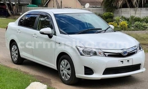 Buy New Toyota Axio White Car in Borrowdale in Harare