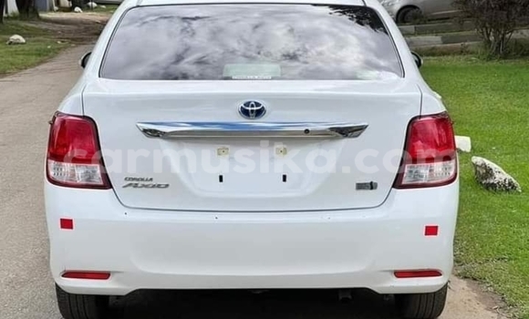 Acheter Neuf Voiture Toyota Axio Blanc à Borrowdale, Harare Acheter Neuf Voiture Toyota Axio Blanc à Borrowdale, Harare