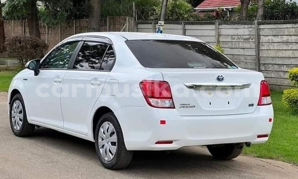 Acheter Neuf Voiture Toyota Axio Blanc à Borrowdale, Harare Acheter Neuf Voiture Toyota Axio Blanc à Borrowdale, Harare