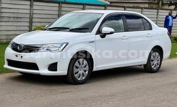 Acheter Neuf Voiture Toyota Axio Blanc à Borrowdale, Harare Acheter Neuf Voiture Toyota Axio Blanc à Borrowdale, Harare