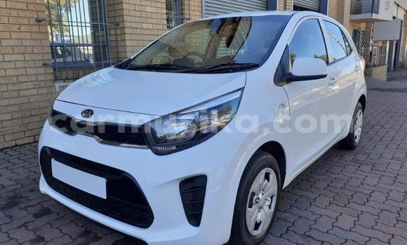 Buy Used Kia Picanto White Car in Beitbridge in Matabeleland South
