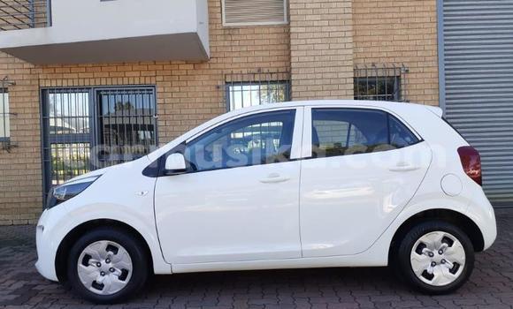 Acheter Occasion Voiture Kia Picanto Blanc à Beitbridge, Matabeleland South Acheter Occasion Voiture Kia Picanto Blanc à Beitbridge, Matabeleland South