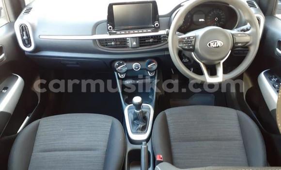 Acheter Occasion Voiture Kia Picanto Blanc à Beitbridge, Matabeleland South Acheter Occasion Voiture Kia Picanto Blanc à Beitbridge, Matabeleland South