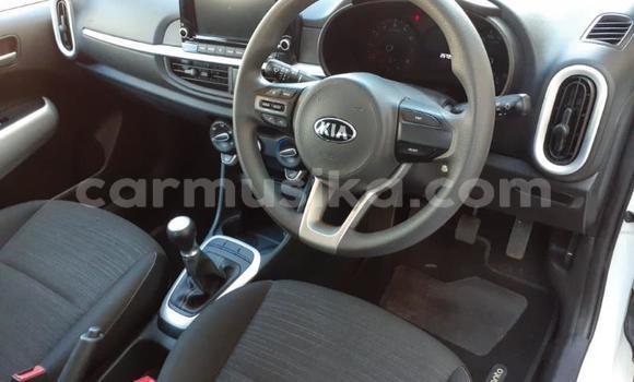 Acheter Occasion Voiture Kia Picanto Blanc à Beitbridge, Matabeleland South Acheter Occasion Voiture Kia Picanto Blanc à Beitbridge, Matabeleland South