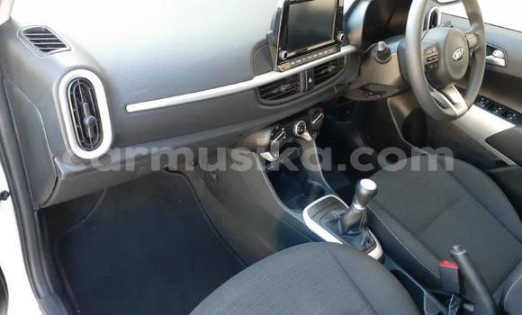 Acheter Occasion Voiture Kia Picanto Blanc à Beitbridge, Matabeleland South Acheter Occasion Voiture Kia Picanto Blanc à Beitbridge, Matabeleland South