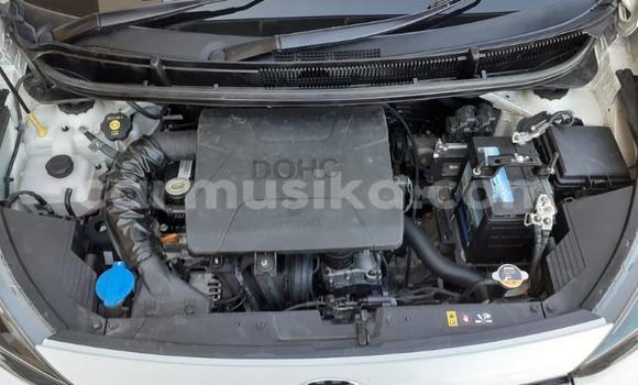 Acheter Occasion Voiture Kia Picanto Blanc à Beitbridge, Matabeleland South Acheter Occasion Voiture Kia Picanto Blanc à Beitbridge, Matabeleland South