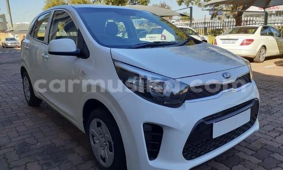 Acheter Occasion Voiture Kia Picanto Blanc à Beitbridge, Matabeleland South Acheter Occasion Voiture Kia Picanto Blanc à Beitbridge, Matabeleland South