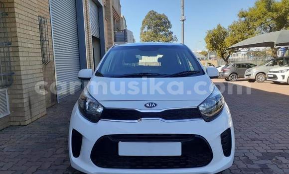Acheter Occasion Voiture Kia Picanto Blanc à Beitbridge, Matabeleland South Acheter Occasion Voiture Kia Picanto Blanc à Beitbridge, Matabeleland South