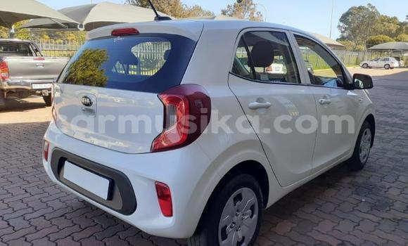 Acheter Occasion Voiture Kia Picanto Blanc à Beitbridge, Matabeleland South Acheter Occasion Voiture Kia Picanto Blanc à Beitbridge, Matabeleland South