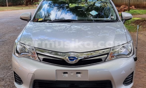 Nunua Mpya Toyota Axio Fedha Gari ndani ya Borrowdale nchini Harare