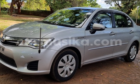 Acheter Neuf Voiture Toyota Axio Gris à Borrowdale, Harare Acheter Neuf Voiture Toyota Axio Gris à Borrowdale, Harare