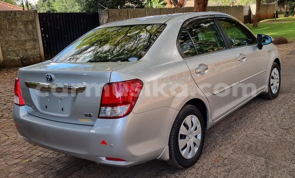 Acheter Neuf Voiture Toyota Axio Gris à Borrowdale, Harare Acheter Neuf Voiture Toyota Axio Gris à Borrowdale, Harare