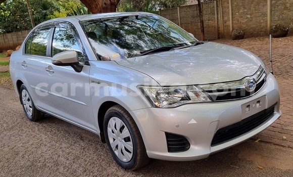 Acheter Neuf Voiture Toyota Axio Gris à Borrowdale, Harare Acheter Neuf Voiture Toyota Axio Gris à Borrowdale, Harare