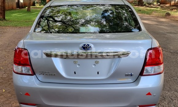 Acheter Neuf Voiture Toyota Axio Gris à Borrowdale, Harare Acheter Neuf Voiture Toyota Axio Gris à Borrowdale, Harare