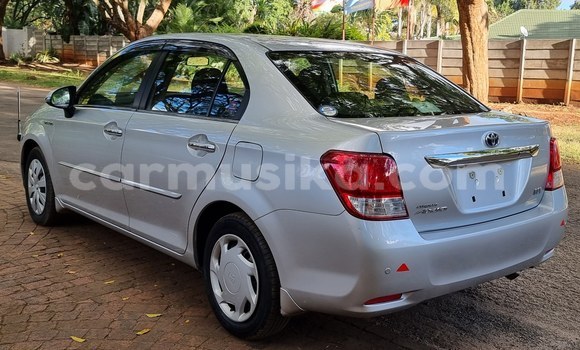 Acheter Neuf Voiture Toyota Axio Gris à Borrowdale, Harare Acheter Neuf Voiture Toyota Axio Gris à Borrowdale, Harare