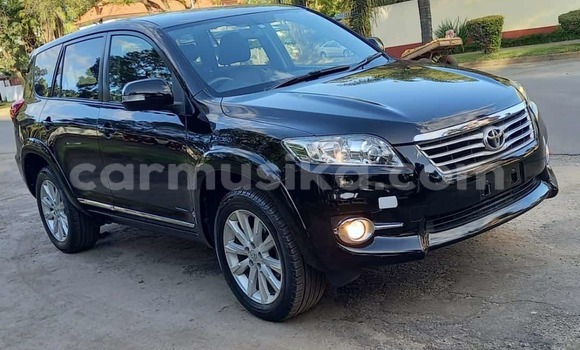 Nunua Mpya Toyota Vanguard Nyeusi Gari ndani ya Borrowdale nchini Harare