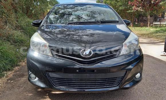 Buy New Toyota Vitz Black Car in Borrowdale in Harare