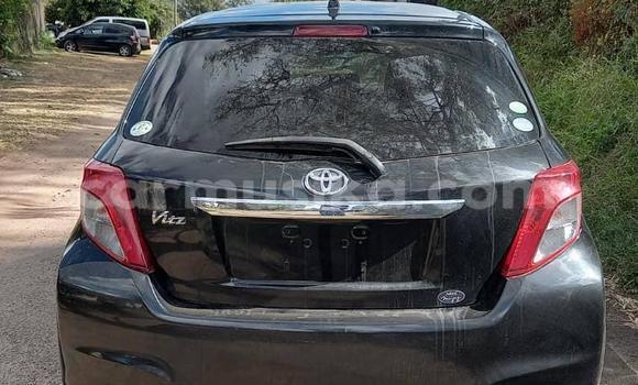 Acheter Neuf Voiture Toyota Vitz Noir à Borrowdale, Harare Acheter Neuf Voiture Toyota Vitz Noir à Borrowdale, Harare