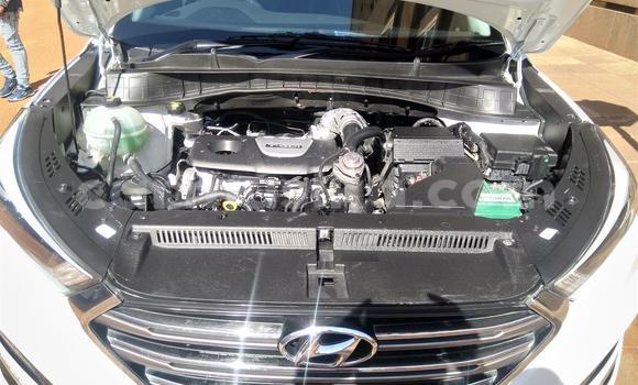 Tenga Tsaru Hyundai Tucson Chena Mota in Beitbridge in Matabeleland South Tenga Tsaru Hyundai Tucson Chena Mota in Beitbridge in Matabeleland South