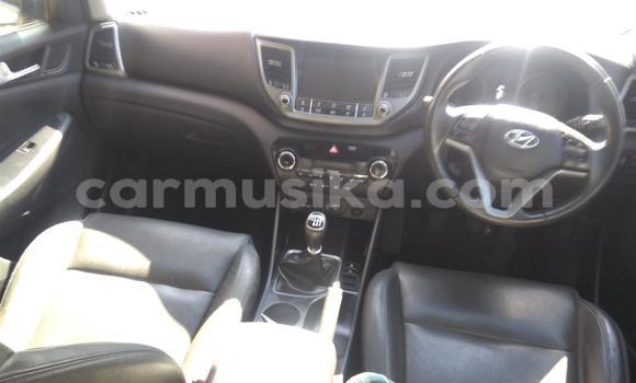 Tenga Tsaru Hyundai Tucson Chena Mota in Beitbridge in Matabeleland South Tenga Tsaru Hyundai Tucson Chena Mota in Beitbridge in Matabeleland South