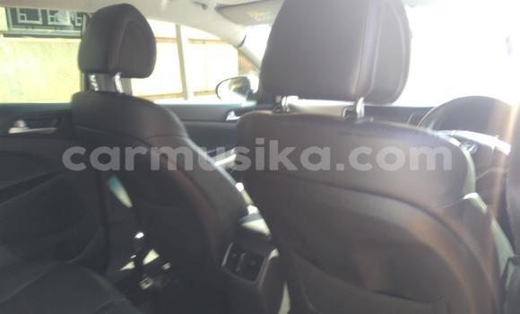 Tenga Tsaru Hyundai Tucson Chena Mota in Beitbridge in Matabeleland South Tenga Tsaru Hyundai Tucson Chena Mota in Beitbridge in Matabeleland South