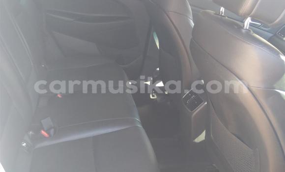 Tenga Tsaru Hyundai Tucson Chena Mota in Beitbridge in Matabeleland South Tenga Tsaru Hyundai Tucson Chena Mota in Beitbridge in Matabeleland South